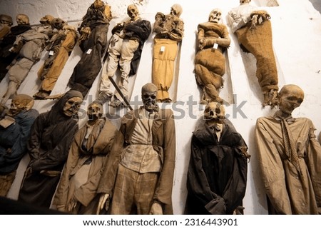Capuchin Catacombs of Palermo - Italy Royalty-Free Stock Photo #2316443901