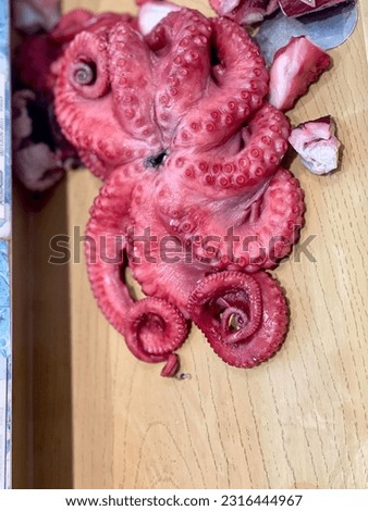 The fresh octopus. Marine mollusk and a member of the class Cephalopoda, the head and feet are merged. A ring of eight equally-long arms surround the head. Photo taken in Depok - Indonesia, 2023.