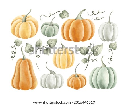 Watercolor Illustration set of pumpkin in different shape and color Royalty-Free Stock Photo #2316446519