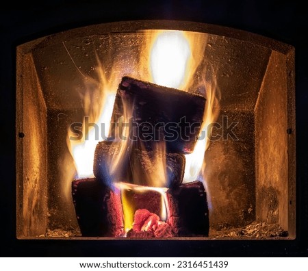 Burning Biomass briquettes in the fireplace. Biofuel from pine sawdust and chips
