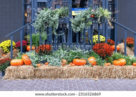 Colorful pumpkins, fall flowers and hay bales create luxurious Halloween and Thanksgiving decor at the cafe entrance.