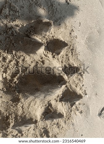 a sand castle by the beach🏯🏰