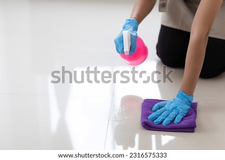 Woman cleaning the house area, close-up