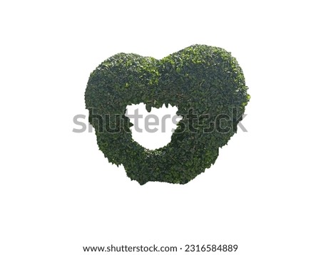 heart shaped green grass on white background