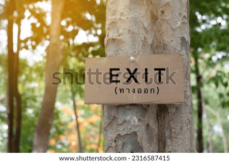 Paper signpost which has English texts ‘Exit’ and Thai texts which means 'Exit' on it to inform people to move rotations or to change rotations in camp at the park, soft and selective focus.