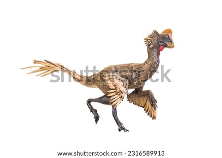 dinosaur , Anzu Wyliei on isolated background 