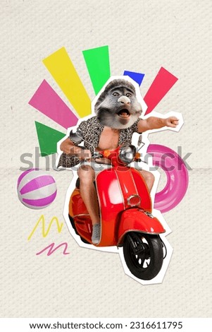 Collage minimal picture of funky guy monkey head riding moped vacation isolated creative background