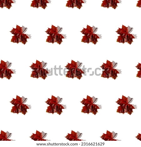 Seamless pattern of colorful autumn maple leaves with hard light isolated on white background. Warm colors of Autumn