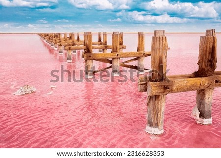 The pink lake is a beautiful landscape, unusual nature. A unique rare natural phenomenon. Salt lake with pink algae. Beautiful landscape. Royalty-Free Stock Photo #2316628353