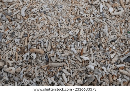Aru Islands-Indonesia, June 13 2023, a background of beautiful, coarse-textured coral fragments that are on the beach. Royalty-Free Stock Photo #2316633373