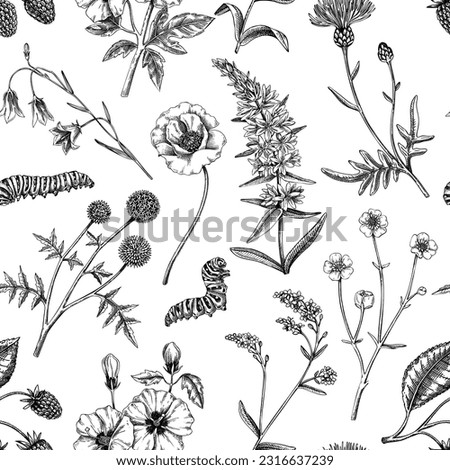 Hand-drawn summer background. Retro floral texture design. Sketched wildflowers seamless pattern. Vector illustration of field of flowers for wedding invitation, greeting cards, textile, packaging