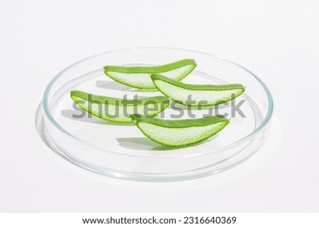 Fresh aloe leaf and sliced aloe slices in a Petri dish. On a white background