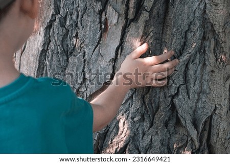 Child hand touches tree bark on the summer forest. Concept of love and care nature, ecology, climate change. Closeup
