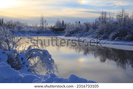 Pictures of a lot of snow on trees, rivers and mountains in the cold season of winter