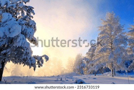 Pictures of a lot of snow on trees, rivers and mountains in the cold season of winter