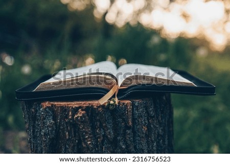 Open bible at sunset in nature, christian concept.