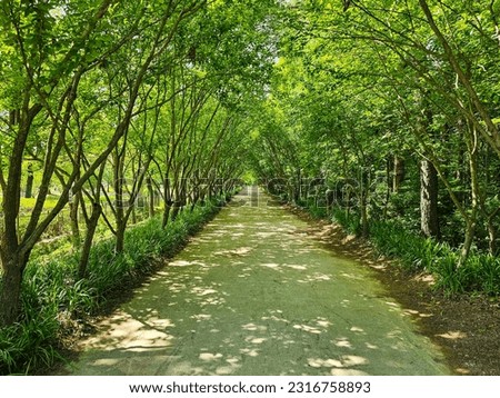 Arboretum with beautiful walking trails
