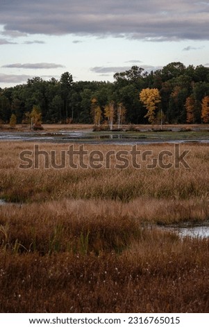 A fall landscape near the Navarino Nature Center, Wisconsin, USA 