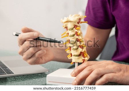 An Osteopath explaining the function of the intervertebral discs on a model of the spine