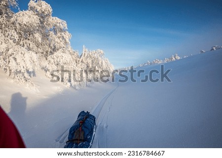 Ski expedition in Pallas Yllastunturi National Park, Lapland, northern Finland.