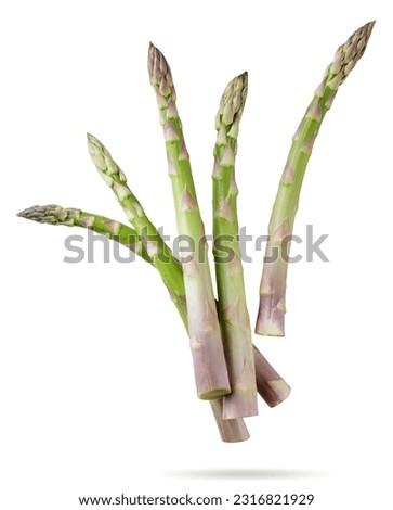 Ripe asparagus flying close-up on a white background. Isolated Royalty-Free Stock Photo #2316821929