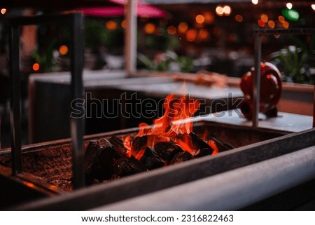 Barbecue area and grilling. Party on the street