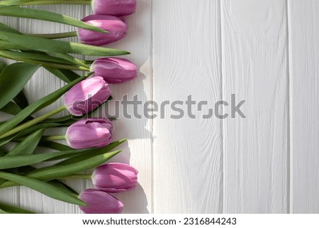 Pale pink delicate tulips on a white wooden background. Spring background with a bouquet of flowers. Top view
