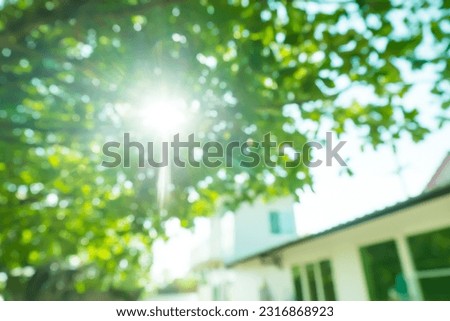 Blur image of Sun rays shines through forest trees,nature of green leaf in garden at summer,sunlight spring summer concept nature background. Royalty-Free Stock Photo #2316868923