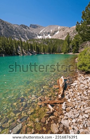 Turquoise Lake in a Mountain Basin in Great Basin National Park in Nevada Royalty-Free Stock Photo #2316876391