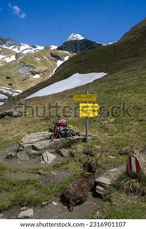 on the way to the gross glockner, the highest mountainof austria, in the hohe tauern national park at a sunny summer day