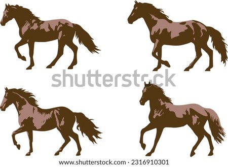 Horses in various poses . Set of vector illustration isolated on white background