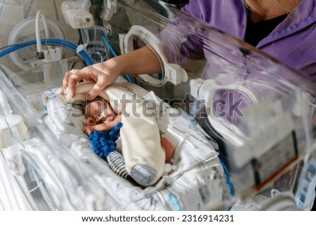 Unrecognizable mother touch and care premature baby placed in a medical incubator. Neonatal intensive care unit in hospital. Royalty-Free Stock Photo #2316914231