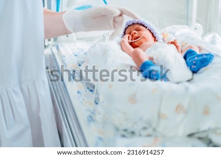 Unrecognizable female nurse wearing uniform touch and care premature born baby in intensive care unit holding cute infant in her hands. Royalty-Free Stock Photo #2316914257