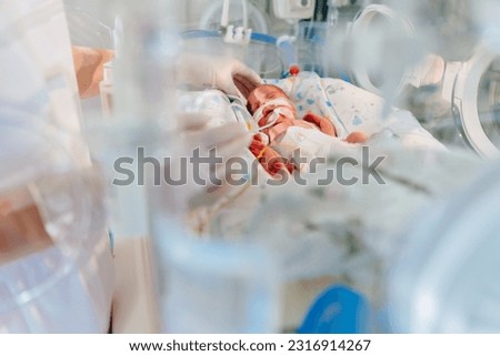 Unrecognizable hand in gloves of nurse or doctor taking care of premature baby placed in a medical incubator. Neonatal intensive care unit in hospital. Royalty-Free Stock Photo #2316914267