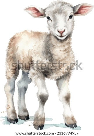 Mutton watercolor illustration. Hand drawn underwater element design. Artistic vector marine design element. Illustration for greeting cards, printing and other design projects. Royalty-Free Stock Photo #2316994957