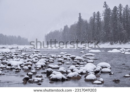 Stones with snow caps in the water of Altai Biya river under heavy snow in winter season with forest on background. Royalty-Free Stock Photo #2317049203