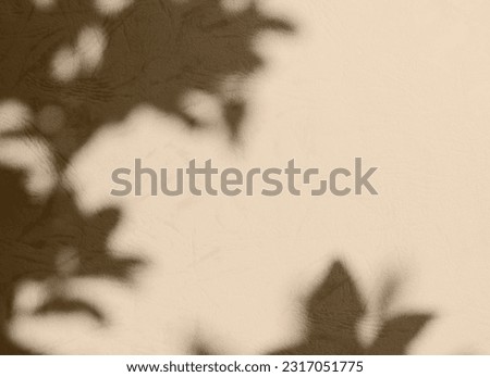 Shadow Leaf on Cement Summer Background,Abstract Light Overlay Plant on Wall Floor Marble Minimal Beige Color Pastel Texture Backdrop,Cream Brown Mockup Product Cosmetic,Nature Tropic from Window.