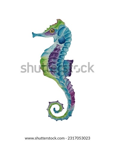 Watercolor seahorse isolated on white background.