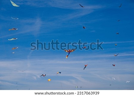 Kite Festival, the annual kite festival, is held on the beach facing the North Sea. The kites are made in imaginative shapes and colors. A little blurring may appear.