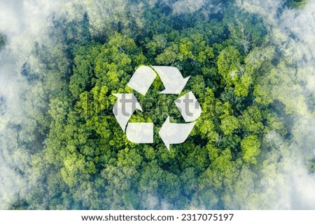 Recycle symbol on the forest background . Ecological concept. Ecology. Recycle and Zero waste symbol in the  untouched jungle for Sustainable environment