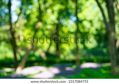 Abstract blurred green tree leaf foliage nature background fresh nature