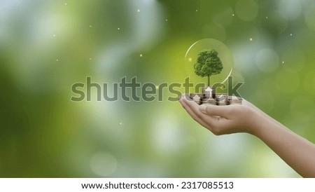 Concept of financial investment, money saving, money growth, business success and eco business investment.hand holding step of coins stacks with tree growing on top in nature green background. 