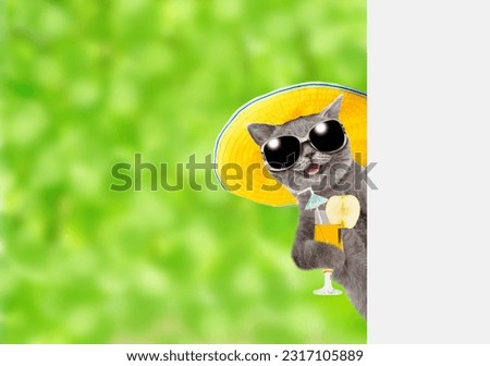 Happy cat wearing sunglasses and summer hat holds tropic cocktail and looks from behind empty white banner