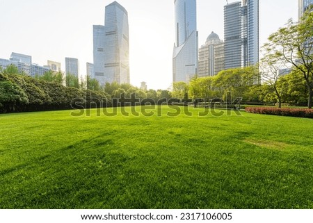 green lawn with city skyline in shanghai china
