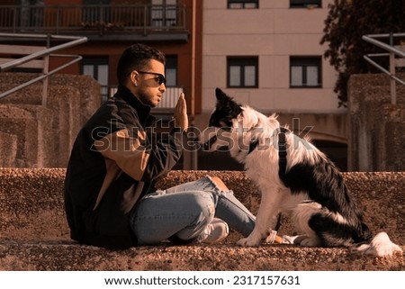 Border Collie dog is sitting in the street with his young master. Pictures of Border Collie pet dogs with their owners.