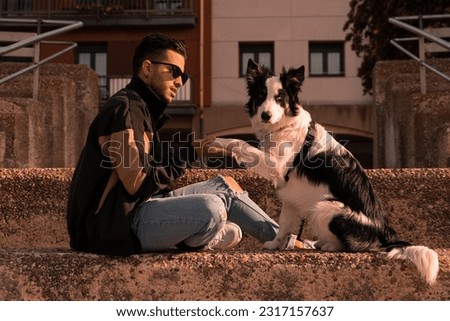 A young Border Collie dog sits on the street with his young master and shakes his hand. Pictures of pet Border Collie dogs with their owners.