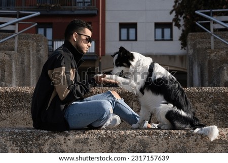 Border Collie dog sits on the street with his young master. Pictures of Border Collie pet dogs with their owners.