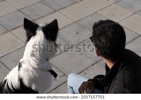 A young Border Collie dog and his owner are looking in the same direction. Pictures of Border Collie pet dogs with their owners.