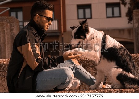 A young Border Collie dog sits on the street with his young master and shakes his hand. Pictures of pet Border Collie dogs with their owners.