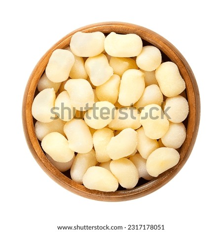 Gnocchini, mini gnocchi, in a wooden bowl. Dumplings in Italian cuisine. Uncooked small lumps of dough, made of potato, wheat flour, egg and salt. Commonly cooked in salt water and dressed with sauce.